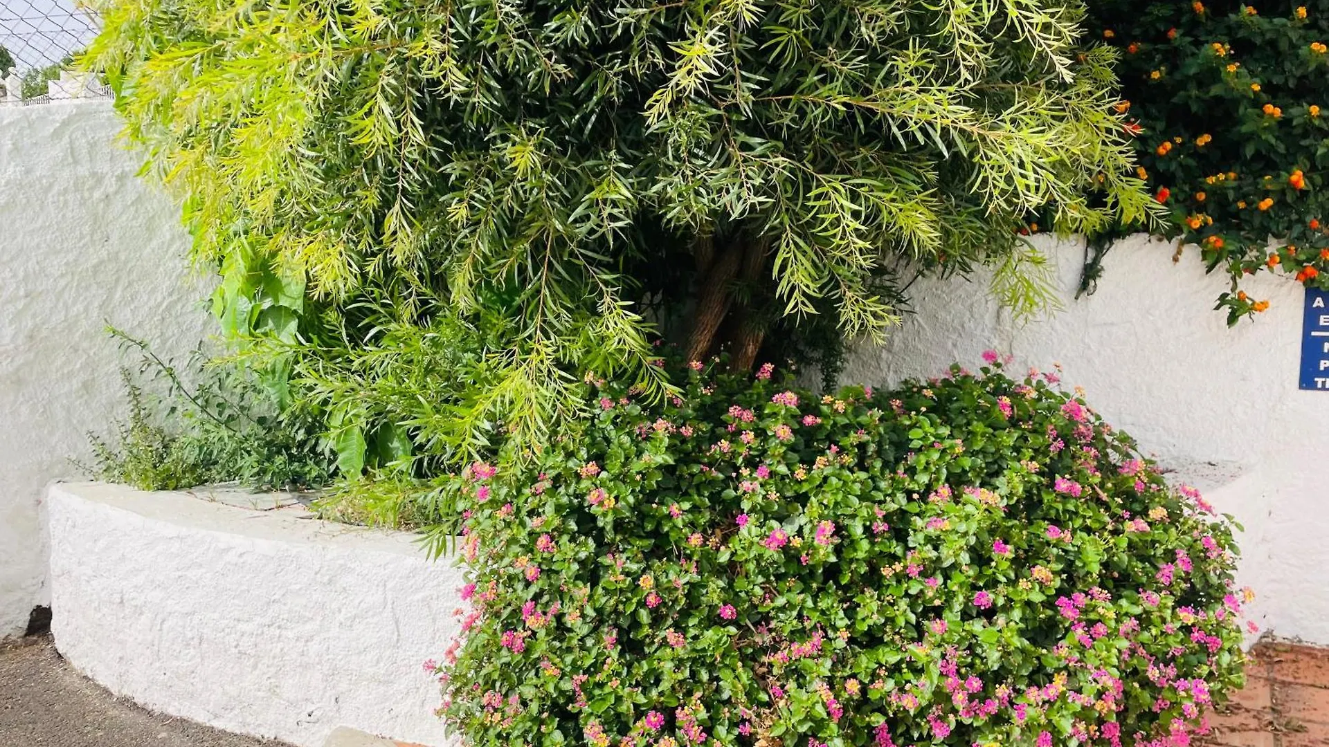 Adosado Tropicana En Nerja Apartment